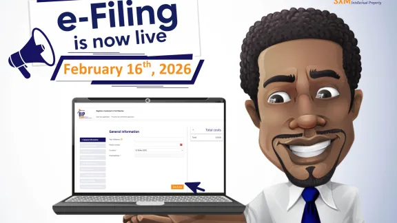 BIP SXM full digital e-filing system is now live!